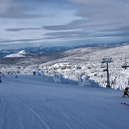 Apartment Grand Lux Koznik Center